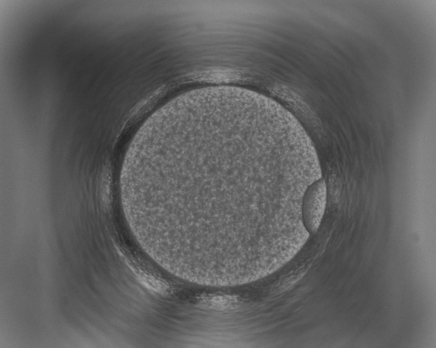 X0000081570304200702121429