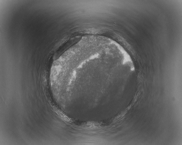 X0000081570305200702121429