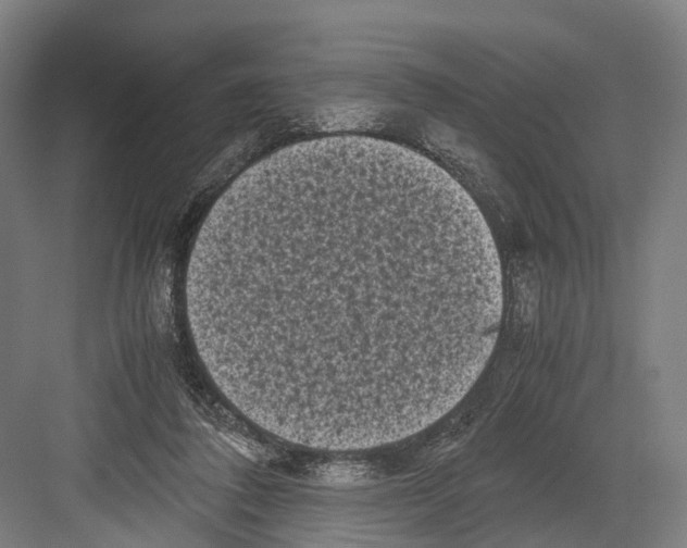 X0000081570308200702121428