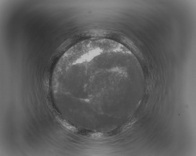 X0000081570309200702121428