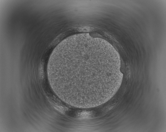 X0000081570312200702121428