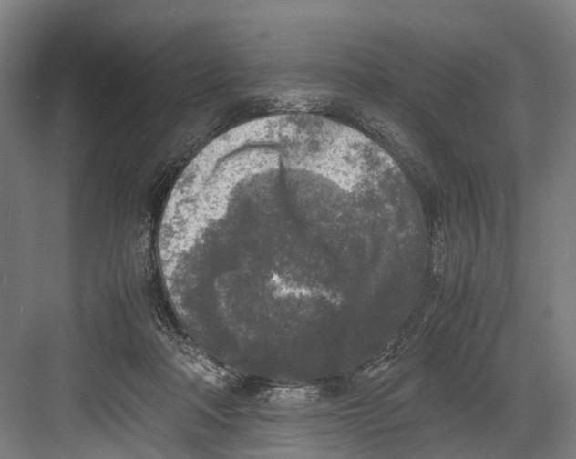 X0000081570314200702121428