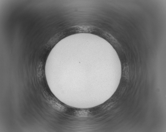 X0000081570318200702121428