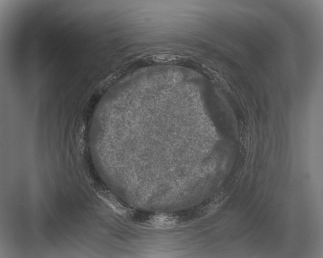 X0000081570319200702121428