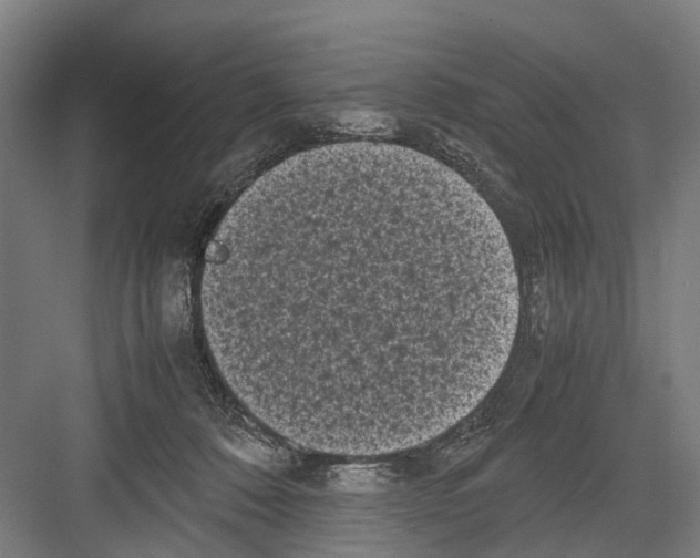 X0000081570320200702121428