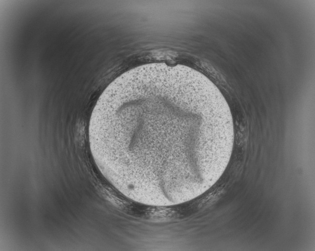 X0000081570321200702121428