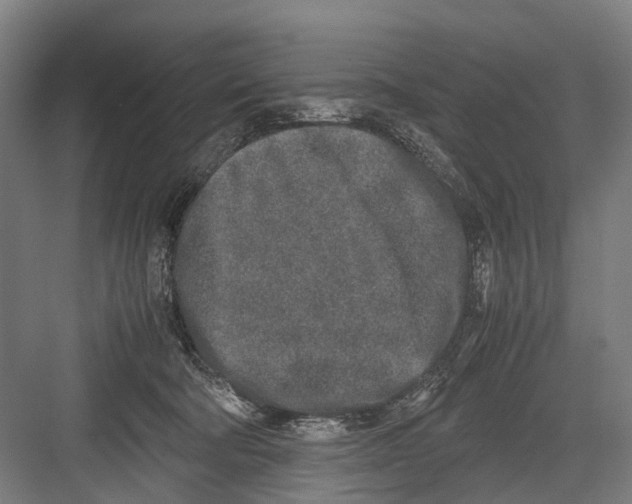 X0000081570322200702121428