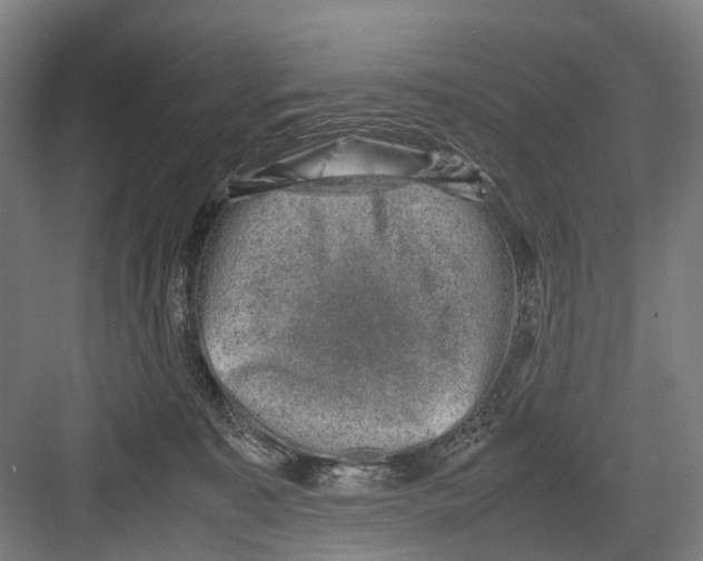 X0000081570323200702121428