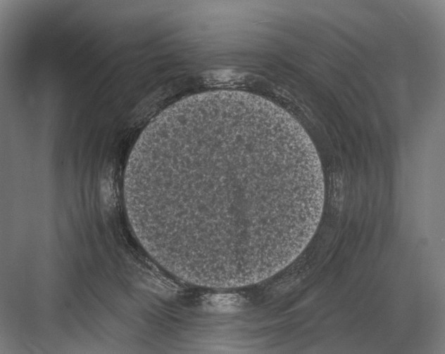 X0000081570324200702121428