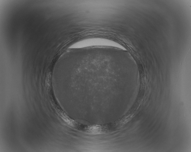 X0000081570325200702121428