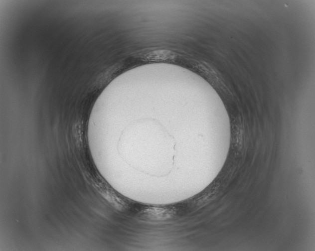 X0000081570326200702121428