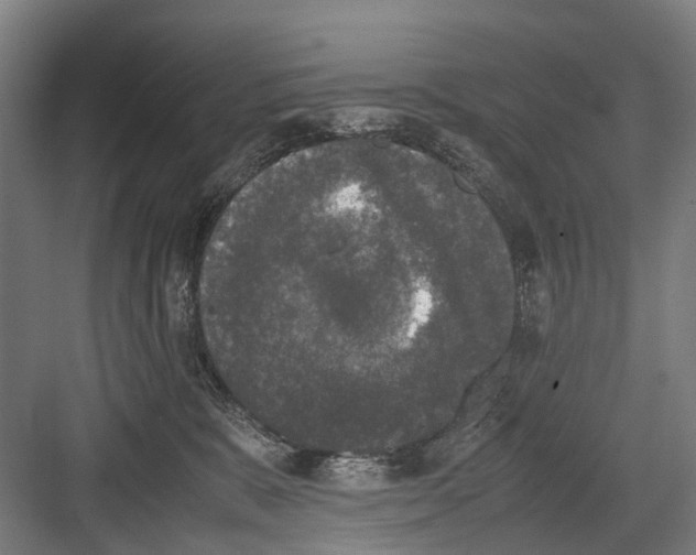 X0000081570327200702121428