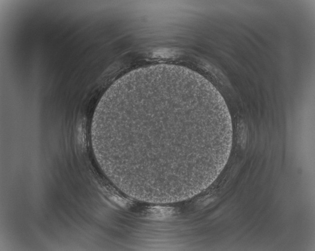 X0000081570328200702121428