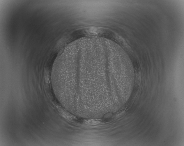 X0000081570331200702121428