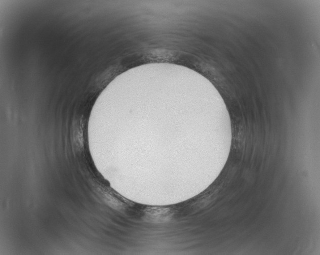 X0000081570334200702121428