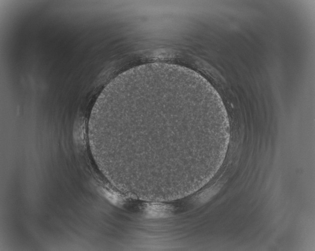 X0000081570336200702121428