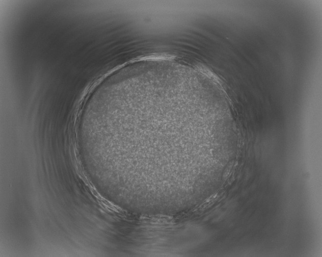 X0000081570337200702121427