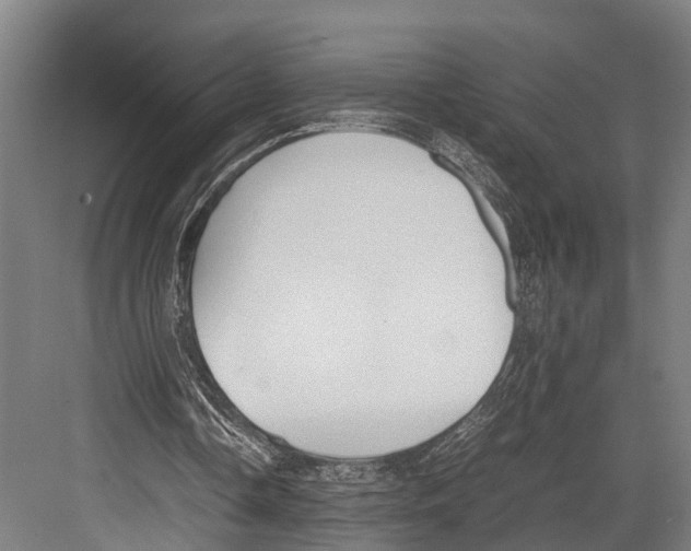 X0000081570338200702121427