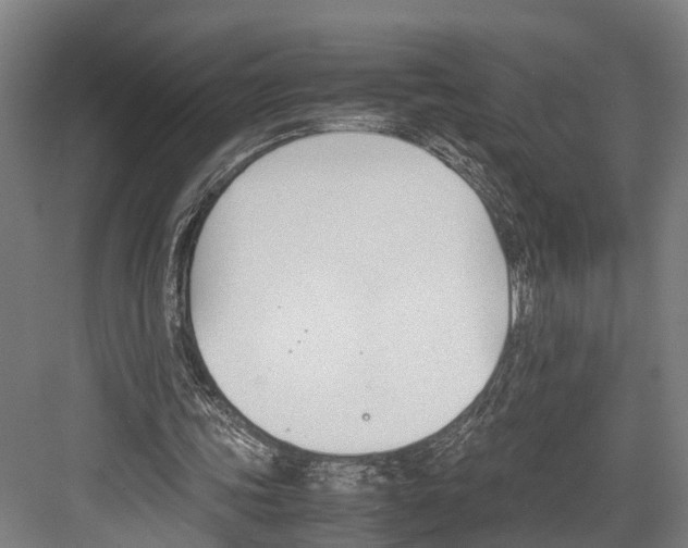 X0000081570339200702121427