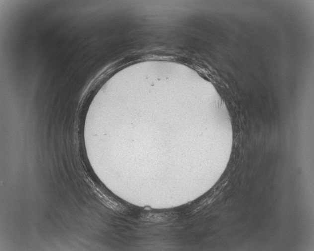 X0000081570341200702121427