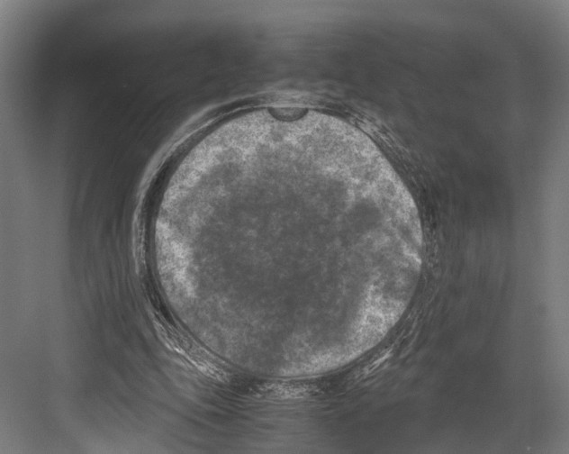 X0000081570343200702121427