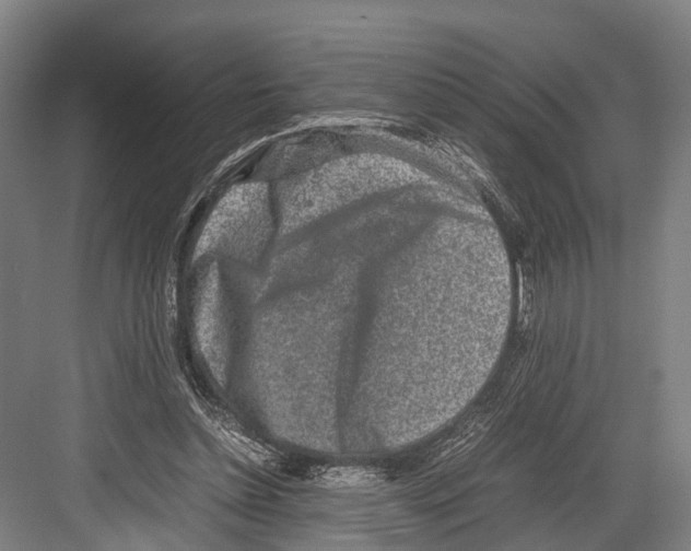 X0000081570348200702121427