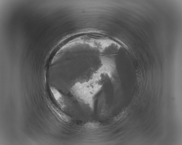 X0000081570350200702121427