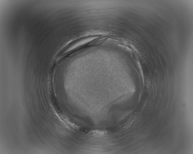 X0000081570352200702121427