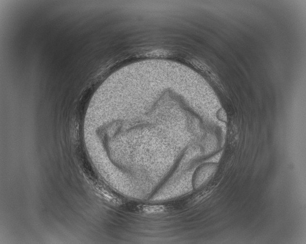 X0000081570355200702121427