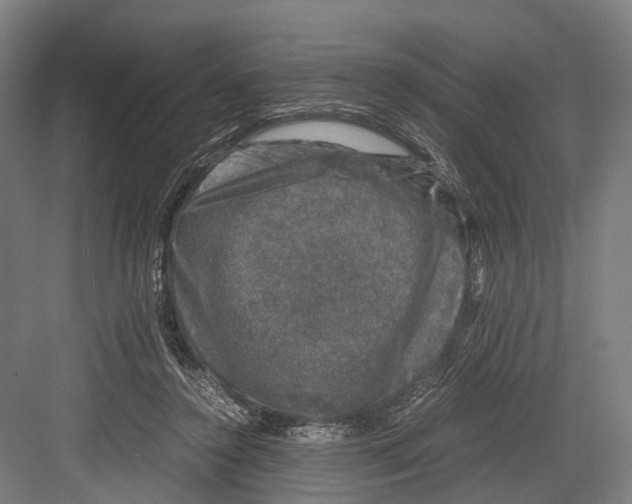 X0000081570356200702121428