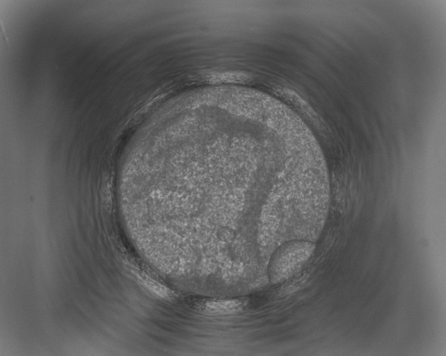 X0000081570357200702121428