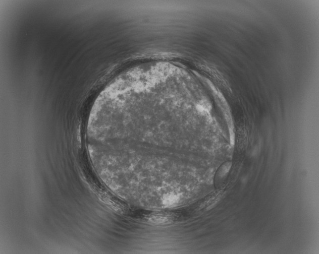 X0000081570358200702121428