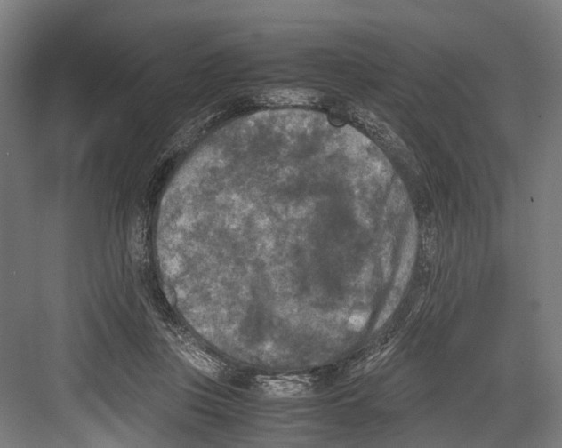 X0000081570359200702121428