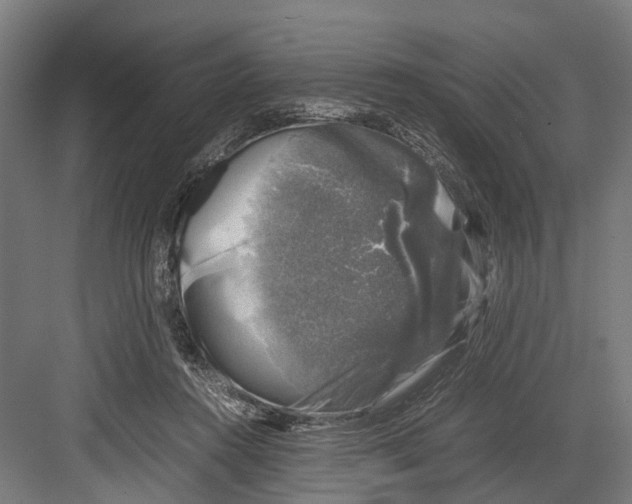 X0000081570360200702121428