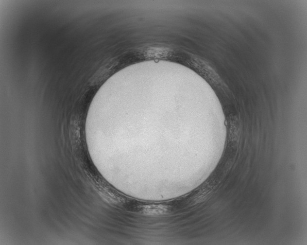 X0000081570363200702121428