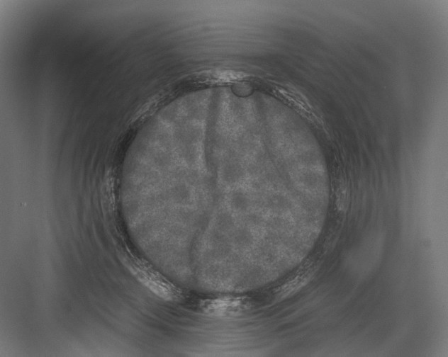 X0000081570366200702121428