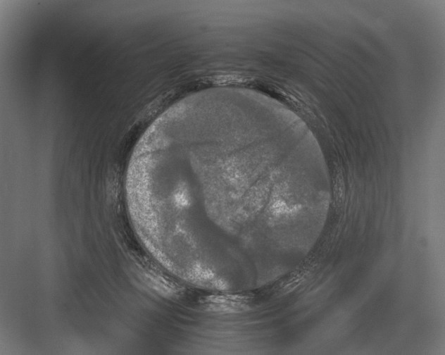 X0000081570367200702121428