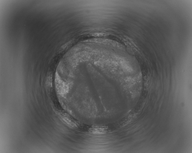 X0000081570368200702121428