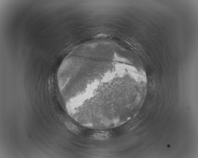 X0000081570369200702121428