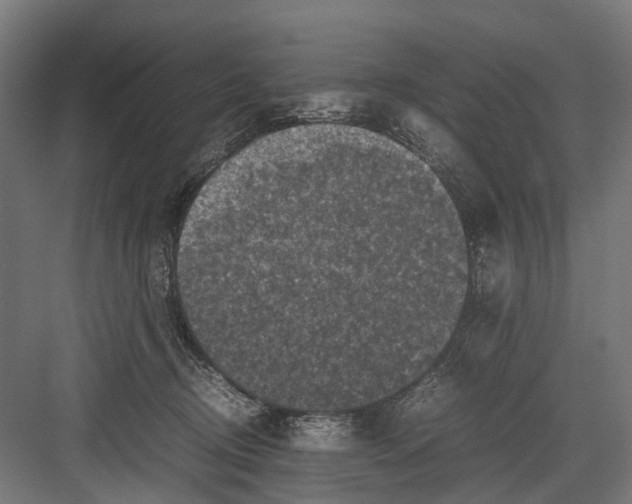 X0000081570370200702121428