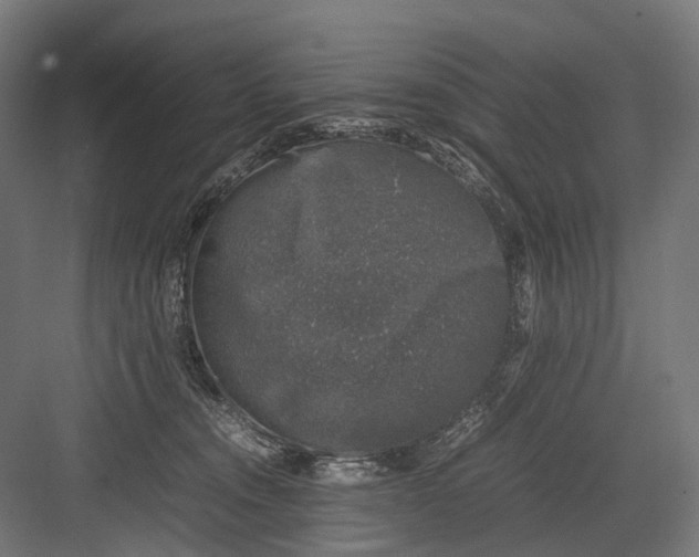 X0000081570372200702121428