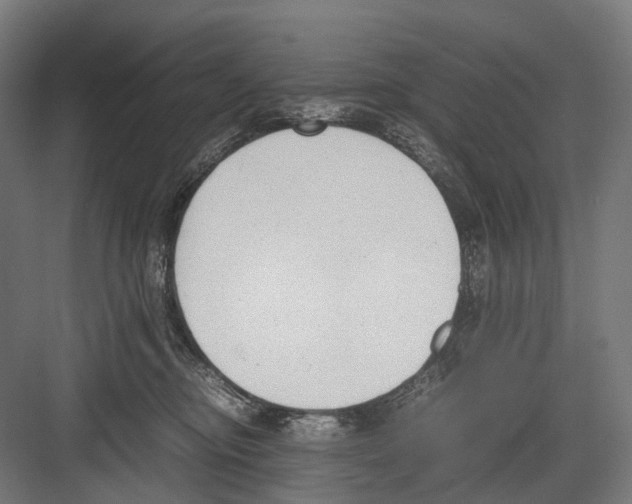 X0000081570374200702121428