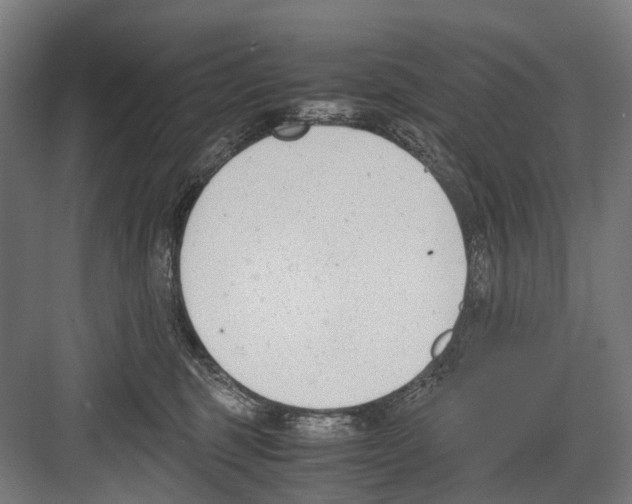 X0000081570375200702121428