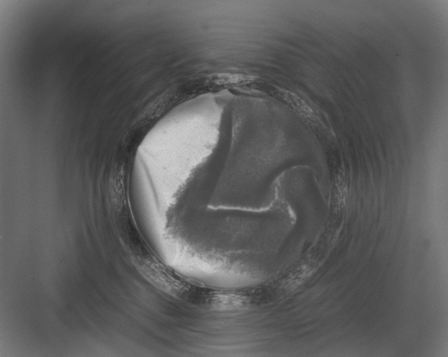 X0000081570376200702121428