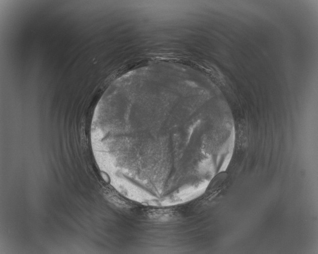 X0000081570377200702121428