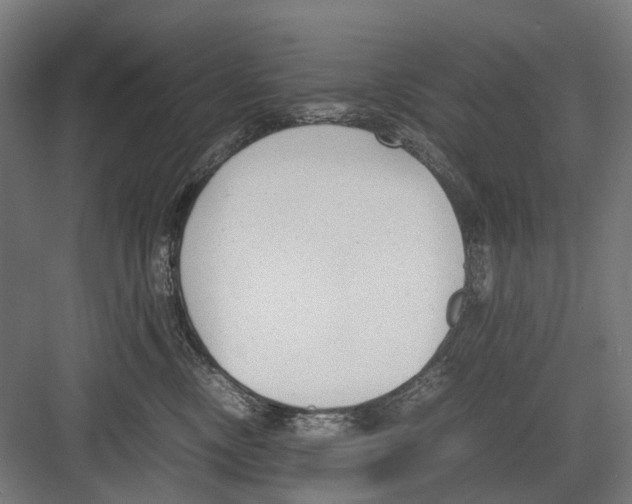 X0000081570378200702121428