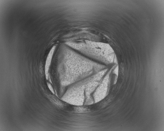 X0000081570380200702121428