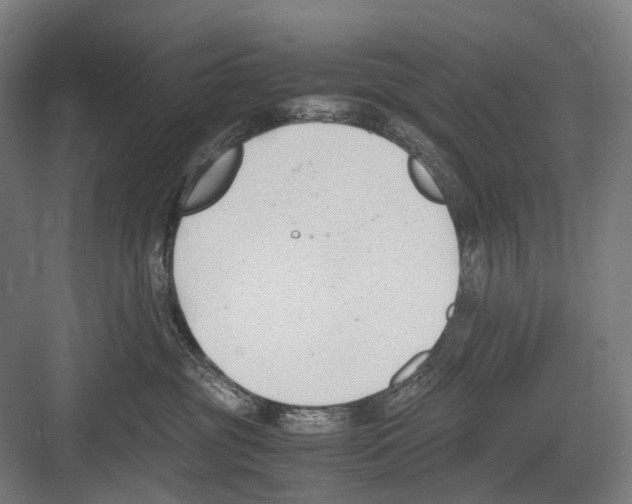 X0000081570381200702121428