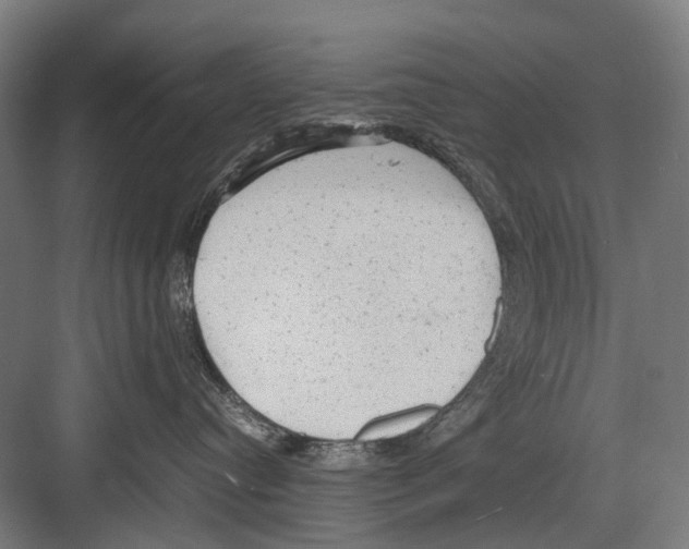 X0000081570384200702121428