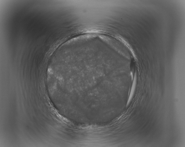 X0000081570385200702121427